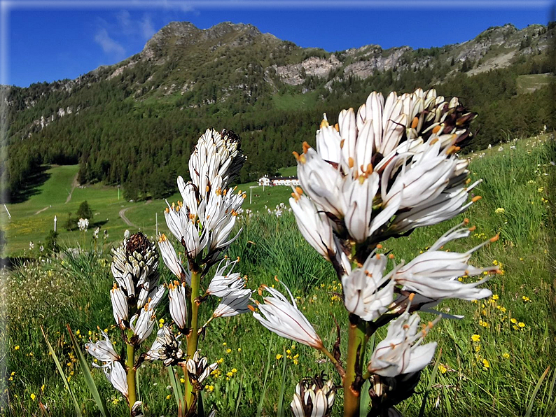 foto Anticima del Monte Meabe